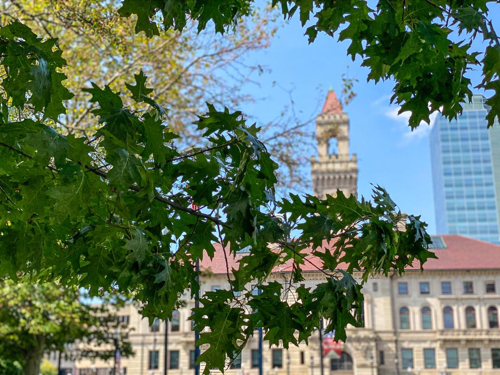 Environmental (In)Justice